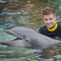Ele✾ (@niallcrossm) 's Twitter Profile Photo Ele✾ (@niallcrossm) 's Twitter Profile Photo