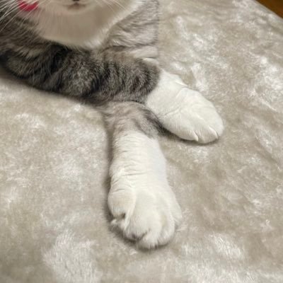 りんさんのプロフィール画像