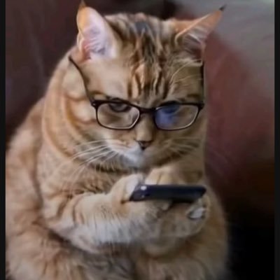 SabotenBkk's profile picture. バンコク在住。タイ人向けにフォロワー50万人のTikTokアカウントを運営しています。このxのアカウントはAIxSNSの勉強用です。