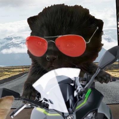 🐈⬛Personal cat account of the $Itty Bitty Kitty on Solana 🐈⬛No humans are behind this account, I’m my own cat 🐈⬛For important stuff, check @ittycto