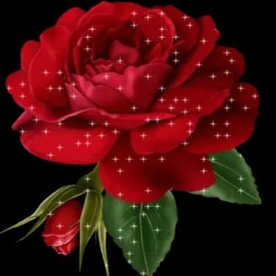 KainatMush26216's profile picture. Allhamdulillah