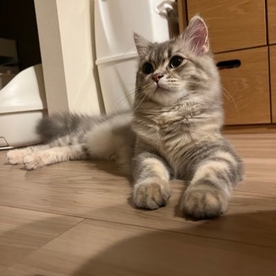 whale_spark_'s profile picture. KUZIRA/SPARK!!SOUND!!SHOW!!/HEY-SMITH/04 limited sazabys/ENTH/10-FEET/SHANK