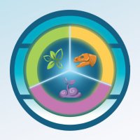 Dino Hab (@dinohab) 's Twitter Profile