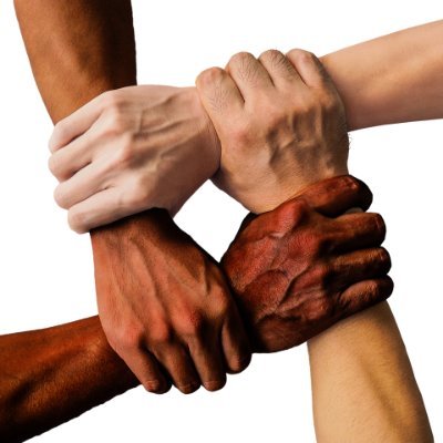 PhoenixSvg15673's profile picture. Bolje golub na grani, nego guska u krevetu