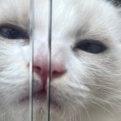 awokiさんのプロフィール画像