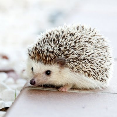 hari1021150's profile picture. 