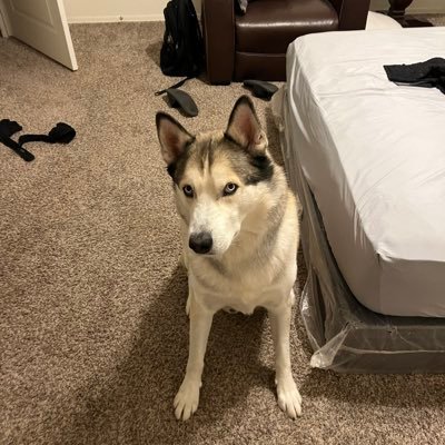 ut_pl61377's profile picture. #DEFI💎  #ONCHAIN⛓️ ANALYST #DEGEN 🎲TRADER #BNB #ETH #SOL 
I SPEAK ALL ABOUT #WEB3.0🌐