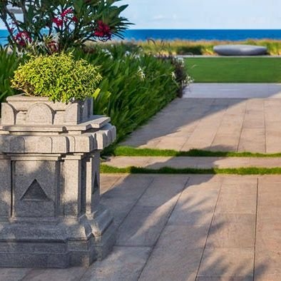 HiayasCl's profile picture. 