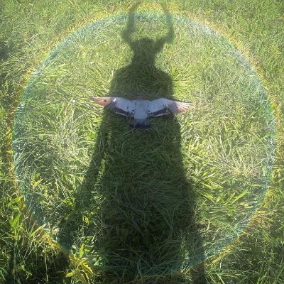 FlowUniver2414's profile picture. 