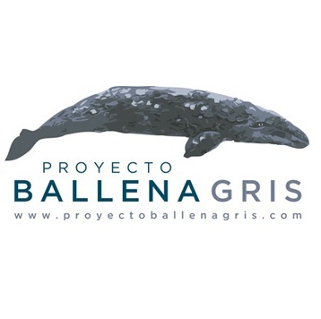 Nuestro proyecto tiene componente social,  turístico, medio ambiental y de promoción, tomando como eje la historia de éxito en conservación de la ballena gris