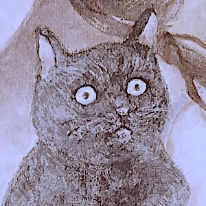 まめとぺちさんのプロフィール画像