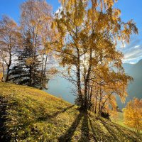 Zohra Ridou (@zridou) 's Twitter Profile Photo