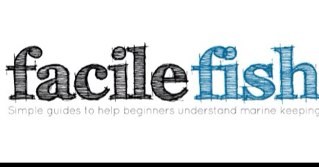 FacileFish's profile picture. Marine beginner help in getting started, one stop place to help you get an idea of Marine fish keeping.