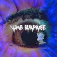 Numb Surprise (@surprisenu72480) 's Twitter Profile