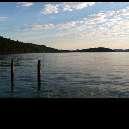 etpenney1's profile picture. 