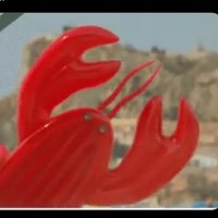 Space Lobster (@space__lobster) 's Twitter Profile Photo