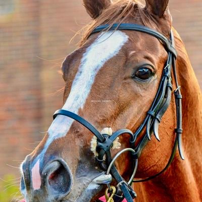 jpctcb's profile picture. 