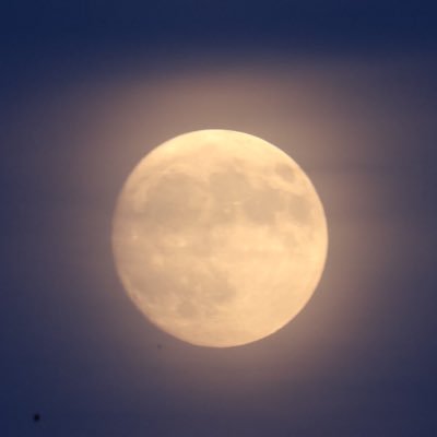 EverythingUTink's profile picture. It’s not me, it’s you