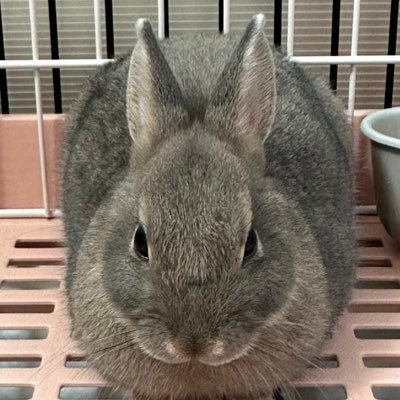 コアなIDM(インテリジェントダンスミュージック)作ってます。作曲してる方!また、それに携わっている方!つながりを求めています。baseにてデジタルコンテンツ販売中。https://t.co/RSMSPaUkYC⭐️ YouTube→ https://t.co/yraJY3tYxO…