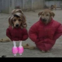 Müjgan (@jakobensss) 's Twitter Profile Photo