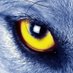 Markus F. Dire (@direfire66) Twitter profile photo Markus F. Dire (@direfire66) Twitter profile photo
