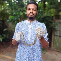 Md. Sabbir Ahammed (@ahammedsabbirmd) 's Twitter Profile