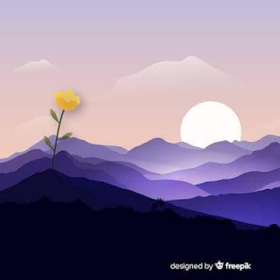 Vazo_devidrio6's profile picture. 