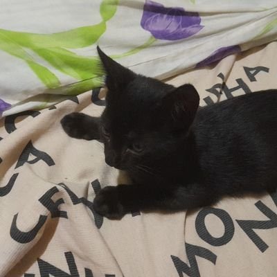 Owen0249509434's profile picture. Not taking life and blessings for Granted 🌷🌿