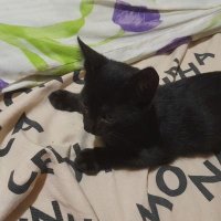 Owen (@owen0249509434) 's Twitter Profile