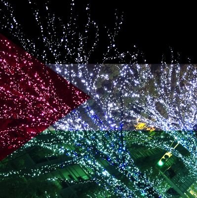 イスラエルによる国際人道法違反の占領とジェノサイドの即停止を求める。イエメンとマレーシアのイスラエルに対する制裁を強く支持。イスラエルが在シリアイラン大使館を攻撃・殺人してもイスラエルを批判しないアメリカ。パレスチナの戦いは、殺人も厭わない権力者たちに対し、平和を望み抵抗する世界中の人々にとっての戦い。