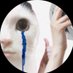 🤓 (@niki_0898) Twitter profile photo 🤓 (@niki_0898) Twitter profile photo