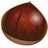 🌰まろん🌰