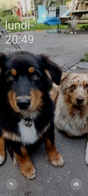 Bkerroot's profile picture. look at the world