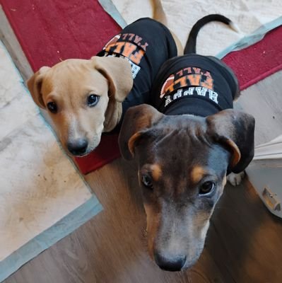 Jorilla65's profile picture. It's a god damn cult!!