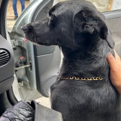 juliiabsouza's profile picture. 