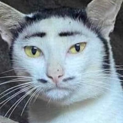 jelq2goon's profile picture. 