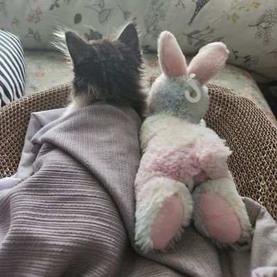 missresta's profile picture. 