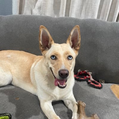 memoryhole78's profile picture. 