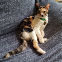 Ethel Cain Updates Dagupan 🐀 🍉 (@phlrntl) 's Twitter Profile Photo