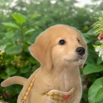 polydexygg's profile picture. GWDPJ2TJ