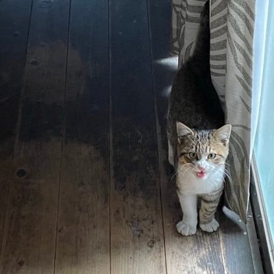 w04_dt's profile picture. 