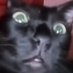 Catherie DRAWY :3 (@caty64173757848) Twitter profile photo Catherie DRAWY :3 (@caty64173757848) Twitter profile photo