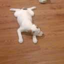 mac chambers - @scrowny - Twitter