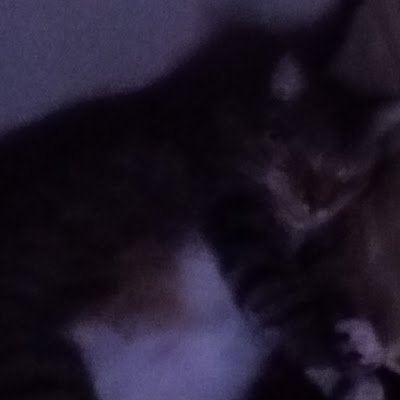 OffBrandPop's profile picture. 