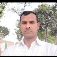 Vikramaditya (@vikramadit16617) 's Twitter Profile