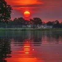 yabanci595's profile picture. 