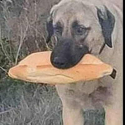 MelihRblxTr's profile picture. 