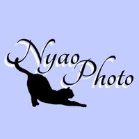 NyaoPhoto (@nyaophoto) 's Twitter Profile