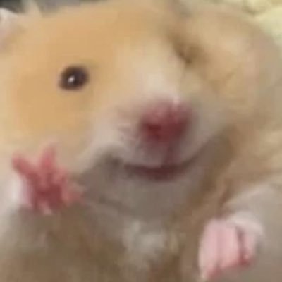 Ichinichiha_24h's profile picture. 