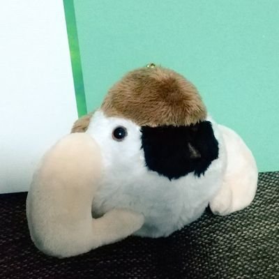 野花さんのプロフィール画像